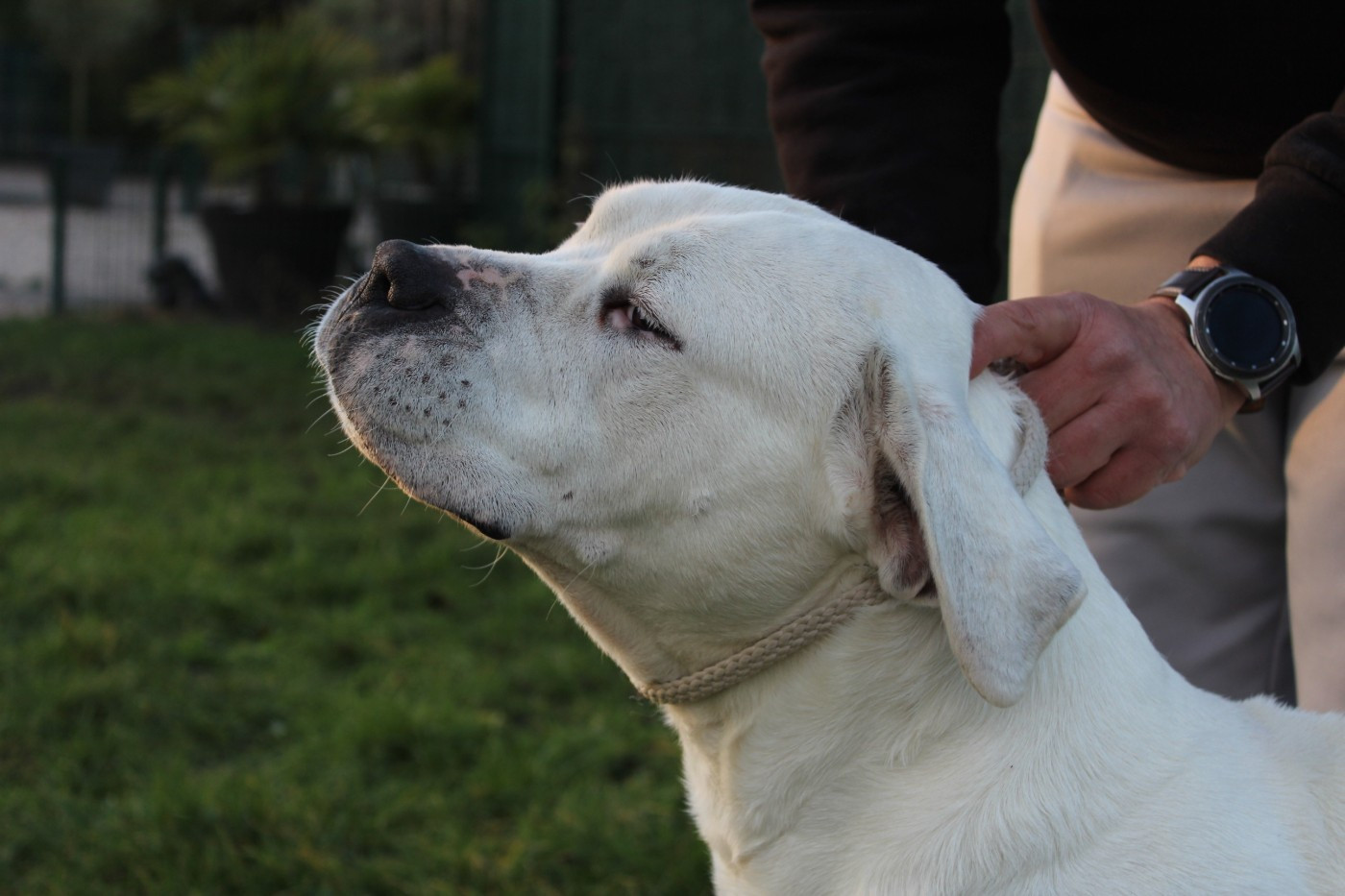 Pampa del Camino Del Oro Blanco